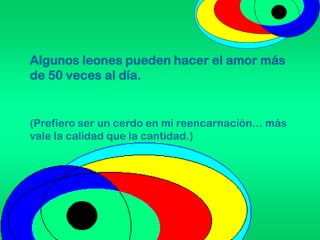 Algunos leones pueden hacer el amor más
de 50 veces al día.
(Prefiero ser un cerdo en mi reencarnación… más
vale la calidad que la cantidad.)
 