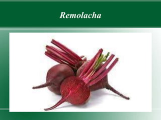 Remolacha 
 