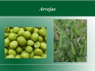 Arvejas 
 