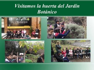 Visitamos la huerta del Jardín 
Botánico 
 