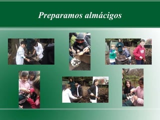 Preparamos almácigos 
 