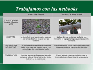 Trabajamos con las netbooks 
HUERTA EN TIERRA TÉCNICA DE HIDROPONIA 
FOTOS TOMADAS 
CON LA CÁMARA 
WEB 
SUSTRATO La tierra fértil tiene los minerales para que 
las raíces absorban el agua que los 
contiene. 
La lana de roca sostiene a la planta. Los 
minerales se agregan al agua que circula por las 
canaletas. 
DISTRIBUCIÓN 
DEL CULTIVO 
Las semillas deben estar separadas unas 
de las otras para que puedan crecer y no 
competir por los minerales del suelo. 
Pueden estar más juntas o amontonadas porque 
todas pueden tomar los minerales del agua. 
TEMPERATURA Hay que sembrar en la estación correcta 
porque el calor, el frío, el viento, las lluvias 
influyen en el crecimiento. 
Puedo sembrar cualquier cultivo porque el 
invernadero permite controlar la temperatura. 
 