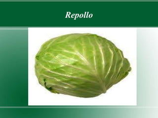 Repollo 
 