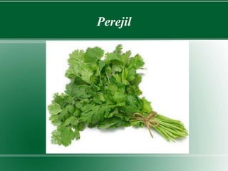 Perejil 
 