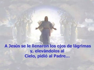A Jesús se le llenaron los ojos de lágrimas y, elevándolos al  Cielo, pidió al Padre…  