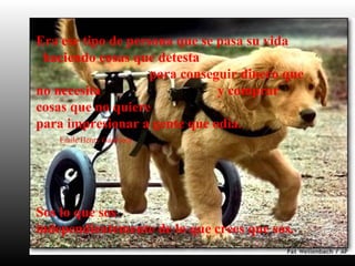 Era ese tipo de persona que se pasa su vida
haciendo cosas que detesta
para conseguir dinero que
no necesita y comprar
cosas que no quiere
para impresionar a gente que odia.
Emile Henry Gauvreay
Sos lo que sos
independientemente de lo que crees que sos.
 