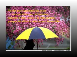 No des por supuestas las cosas
más queridas por tu corazón,
apégate a ellas como a la vida misma,
porque sin ellas la vida carece de sentido.
 