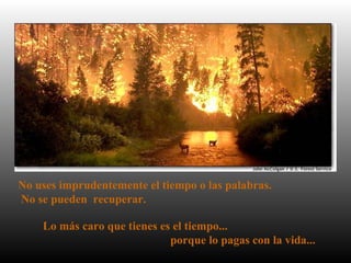 No uses imprudentemente el tiempo o las palabras.
No se pueden recuperar.
Lo más caro que tienes es el tiempo...
porque lo pagas con la vida...
 