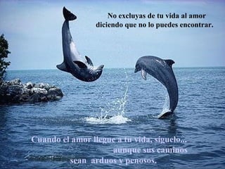 No excluyas de tu vida al amor
diciendo que no lo puedes encontrar.
Cuando el amor llegue a tu vida, síguelo...
aunque sus caminos
sean arduos y penosos.
 