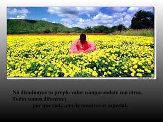 No disminuyas tu propio valor comparandote con otros.
Todos somos diferentes
por que cada uno de nosotros es especial.
 