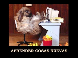 APRENDER COSAS NUEVAS 