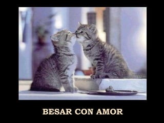 BESAR CON AMOR 