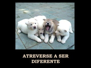 ATREVERSE A SER DIFERENTE 
