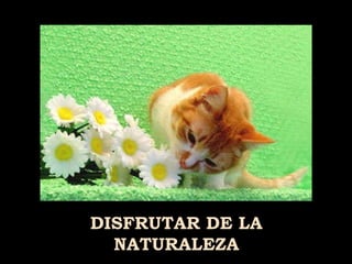 DISFRUTAR DE LA NATURALEZA 