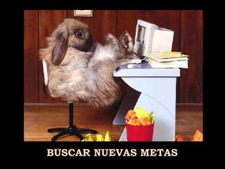 BUSCAR NUEVAS METAS 