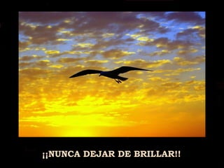 ¡¡NUNCA DEJAR DE BRILLAR!! 
