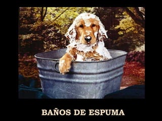 BAÑOS DE ESPUMA 