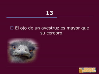 22 cosas que debes saber