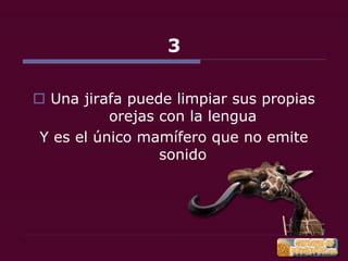 22 cosas que debes saber