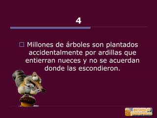 22 cosas que debes saber