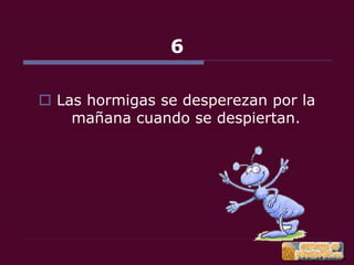 22 cosas que debes saber