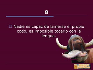 22 cosas que debes saber