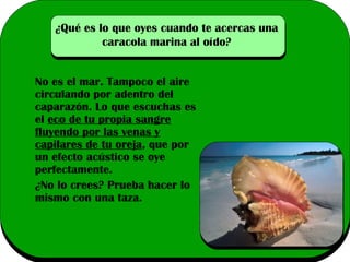 ¿Qué es lo que oyes cuando te acercas una
caracola marina al oído?
No es el mar. Tampoco el aire
circulando por adentro del
caparazón. Lo que escuchas es
el eco de tu propia sangre
fluyendo por las venas y
capilares de tu oreja, que por
un efecto acústico se oye
perfectamente.
¿No lo crees? Prueba hacer lo
mismo con una taza.

 