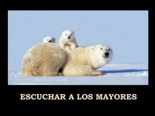 ESCUCHAR A LOS MAYORES 