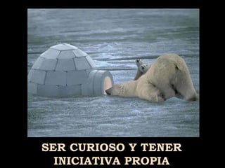 SER CURIOSO Y TENER INICIATIVA PROPIA 