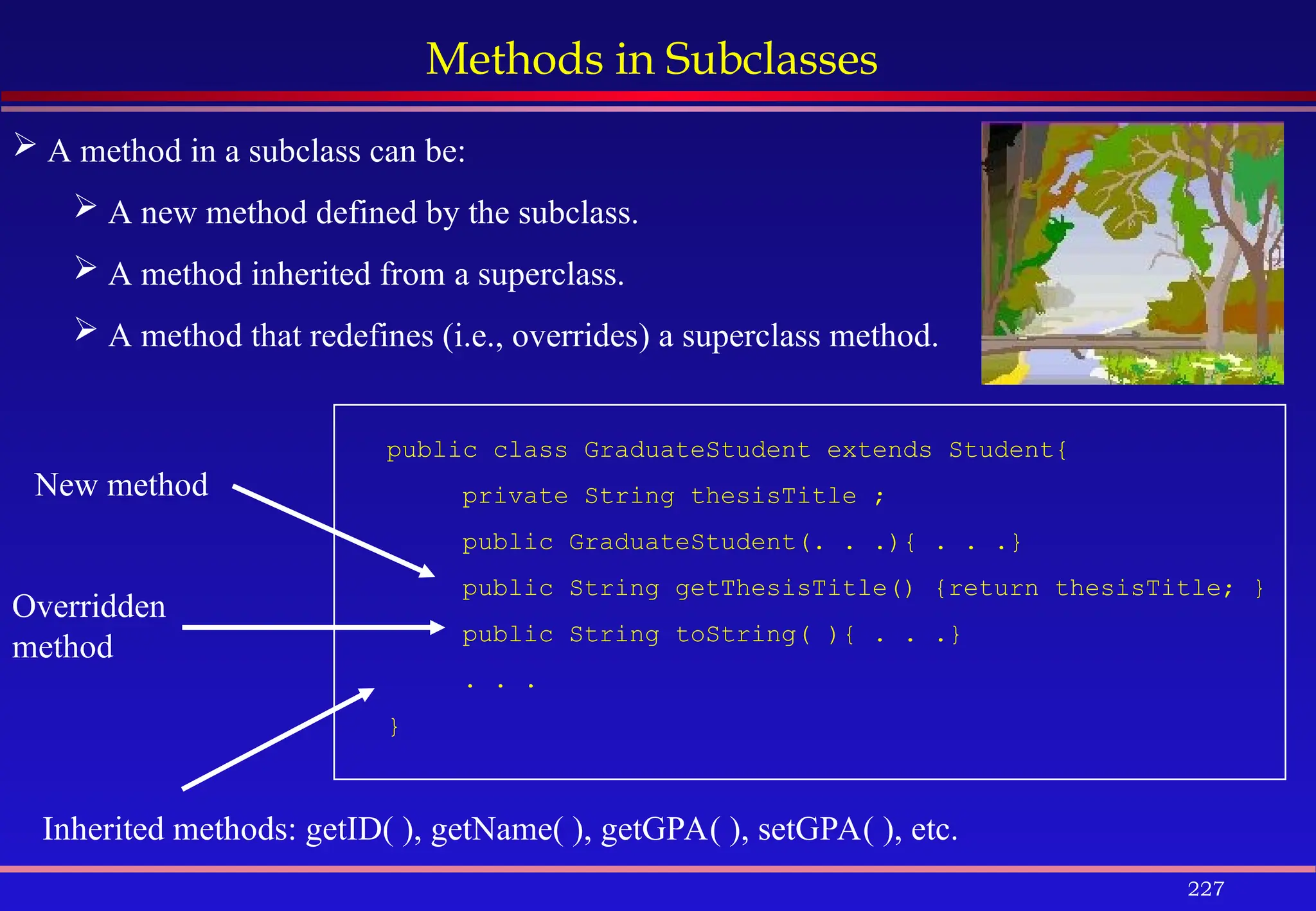 227
Methods in Subclasses
 A method in a subclass can be:
 A new method defined by the subclass.
 A method inherited from a superclass.
 A method that redefines (i.e., overrides) a superclass method.
public class GraduateStudent extends Student{
private String thesisTitle ;
public GraduateStudent(. . .){ . . .}
public String getThesisTitle() {return thesisTitle; }
public String toString( ){ . . .}
. . .
}
Inherited methods: getID( ), getName( ), getGPA( ), setGPA( ), etc.
Overridden
method
New method
 