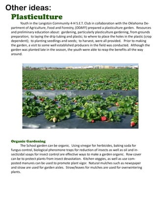 Other ideas:
 Plasticulture
       Youth in the Langston Community 4-H S.E.T. Club in collaboration with the Oklahoma De-
 partment of Agriculture, Food and Forestry, (ODAFF) prepared a plasticulture garden. Resources
 and preliminary education about: gardening, particularly plasticulture gardening, from grounds
 preparation; to laying the drip tubing and plastic; to where to place the holes in the plastic (crop
 dependent); to planting seedlings and seeds; to harvest, were all provided. Prior to making
 the garden, a visit to some well established producers in the field was conducted. Although the
 garden was planted late in the season, the youth were able to reap the benefits all the way
 around.




 Organic Gardening
        The School garden can be organic. Using vinegar for herbicides, baking soda for
 fungus control, biological pheromone traps for reduction of insects as well as oil and in-
 secticidal soaps for insect control are effective ways to make a garden organic. Row cover
 can be to protect plants from insect devastation. Kitchen veggies, as well as use com-
 posted manures can be used to promote plant vigor. Natural mulches such as newspaper
 and straw are used for garden aisles. Straw/leaves for mulches are used for overwintering
 plants.
 