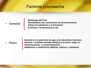 Factores precosecha

• Variedad

• Patrón

Morfología del fruto
Sensibilidad a las condiciones de almacenamiento
Ataque de patógenos y al transporte
Evolución a la senescencia, etc.

Decisión en la absorción de agua y de elementos minerales
(cítricos: > [sólidos solubles totales] en el zumo, mejor en
almacenamiento y comercialización)
Adaptación a condiciones edáficas, hídricas y climáticas

 