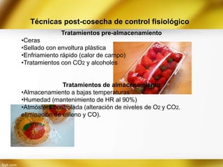 Técnicas post-cosecha de control fisiológico
Tratamientos pre-almacenamiento
•Ceras
•Sellado con envoltura plástica
•Enfriamiento rápido (calor de campo)
•Tratamientos con CO2 y alcoholes

Tratamientos de almacenamiento
•Almacenamiento a bajas temperaturas
•Humedad (mantenimiento de HR al 90%)
•Atmósfera controlada (alteración de niveles de O2 y CO2,
eliminación de etileno y CO).

 