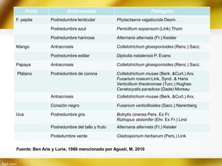 Fruto
F. pepita

Enfermedad

Patógeno

Podredumbre lenticular

Phylactaena vagabunda Desm.

Podredumbre azul

Penicillium expansum (Link) Thom

Podredumbre harinosa

Alternaria alternata (Fr.) Keisler

Antracnosis

Colletotrichum gloesporioides (Renz.) Sacc.

Podredumbre estilar

Diplodia natalensis P. Evans

Papaya

Antracnosis

Colletotrichum gloesporioides (Renz.) Sacc.

Plátano

Podredumbre de corona

Colletotrichum musae (Berk. &Curt.) Arx.
Fusarium roseum Link, Synd. & Hans
Verticillium theobromae (Turc.) Hughes
Ceratocystis paradoxa (Dade) Moreau

Antracnosis

Colletotrichum musae (Berk. &Curt.) Arx.

Corazón negro

Fusarium verticillioides (Sacc.) Narenberg

Podredumbre gris

Botrytis cinerea Pers. Ex Fr.
Rizhopus stolonifer (Ehr. Ex Fr.) Lind

Podredumbre del tallo y fruto

Alternaria alternata (Fr.) Keisler

Podedumbre verde

Cladosporium herbarum (Pers.) Link

Mango

Uva

Fuente: Ben Arie y Lurie, 1986 mencionado por Agustí, M. 2010

 