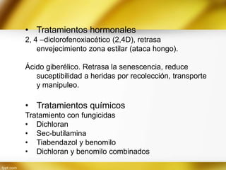 • Tratamientos hormonales
2, 4 –diclorofenoxiacético (2,4D), retrasa
envejecimiento zona estilar (ataca hongo).

Ácido giberélico. Retrasa la senescencia, reduce
suceptibilidad a heridas por recolección, transporte
y manipuleo.

• Tratamientos químicos
Tratamiento con fungicidas
• Dichloran
• Sec-butilamina
• Tiabendazol y benomilo
• Dichloran y benomilo combinados

 