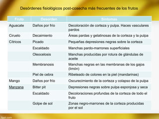 Desórdenes fisiológicos post-cosecha más frecuentes de los frutos
Fruto

Desorden

Síntomas

Aguacate

Daños por frío

Decoloración de corteza y pulpa. Haces vasculares
pardos

Ciruelo

Decaimiento

Áreas pardas y gelatinosas de la corteza y la pulpa

Cítricos

Picado

Pequeñas depresiones negras sobre la corteza

Escaldado

Manchas pardo-marrones superficiales

Oleocelosis

Manchas producidas por rotura de glándulas de
aceite

Membranosis

Manchas negras en las membranas de los gajos
(limón)

Piel de cebra

Ribeteado de colores en la piel (mandarinas)

Mango

Daños por frío

Oscurecimiento de la corteza y colapso de la pulpa

Manzana

Bitter pit

Depresiones negras sobre pulpa esponjosa y seca

Escaldado

Decoloraciones profundas de la corteza de todo el
fruto

Golpe de sol

Zonas negro-marrones de la corteza producidas
por el sol

 