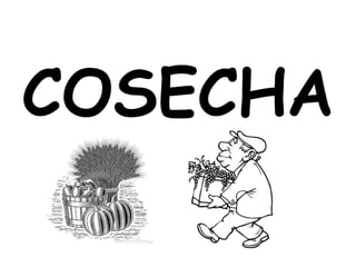COSECHA
 