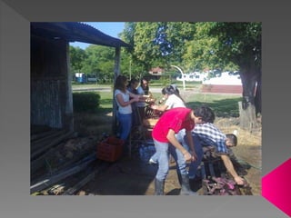Cosecha