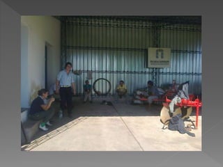 Cosecha