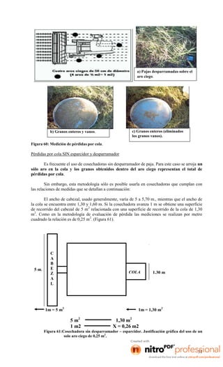 a) Pajas desparramadas sobre el
aro ciego.

c) Granos enteros (eliminados
los granos vanos).

b) Granos enteros y vanos.
Figura 60: Medición de pérdidas por cola .

Pérdidas por cola SIN esparcidor y desparramador
Es frecuente el uso de cosechadoras sin desparramador de paja. Para este caso se arroja un
sólo aro en la cola y los granos obtenidos dentro del aro ciego representan el total de
pérdidas por cola.
Sin embargo, esta metodología sólo es posible usarla en cosechadoras que cumplan con
las relaciones de medidas que se detallan a continuación:
El ancho de cabezal, usado generalmente, varía de 5 a 5,70 m., mientras que el ancho de
la cola se encuentra entre 1,30 y 1,60 m. Si la cosechadora avanza 1 m se obtiene una superficie
de recorrido del cabezal de 5 m 2 relacionada con una superficie de recorrido de la cola de 1,30
m2. Como en la metodología de evaluación de pérdida las mediciones se realizan por metro
cuadrado la relación es de 0,25 m2. (Figura 61).

5 m.

C
A
B
E
Z
A
L

COLA

1m = 5 m2

1,30 m

1m = 1,30 m2

5 m2
1 m2

1,30 m2
X = 0,26 m2

Figura 61:Cosechadora sin desparramador – esparcidor. Justificación gráfica del uso de un
solo aro ciego de 0,25 m2.

31

 