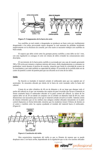 Figura 5: Componentes de la barra de corte
Las cuchillas en mal estado o desgastadas no producen un buen corte por sizallamiento
desgarrando a los tallos provocando mayor desgrane lo cual aumenta las pérdidas incidiendo
negativamente en la eficiencia de cosecha, por esta razón es necesario trabajar con cuchillas en
buen estado.
El espacio que debe existir entre las grampas prensa cuchillas y estas debe ser de 1 mm,
con esta regulación se consigue el corte sin roturas de tallos evitando las consecuencias antes
descriptas.
El movimiento de la barra porta cuchilla es accionada por una caja de mando generando
500 a 520 ciclos por minutos a régimen máximo del motor, dicho desplazamiento es constante no
pudiéndose variar durante el proceso de cosecha, situación que limita la velocidad de avance de
la cosechadora y por ende también su capacidad de trabajo. El recorrido de la cuchilla debe ser de
centro de puntón a centro de puntón para que sea eficiente en el corte de los tallos.

Sinfín
Su función es trasladar el material cortado al embocador para que sea captado por el
acarreador. Se encuentra ubicado por detrás de la barra de corte montado sobre la batea del
cabezal.
Consta de un tubo cilíndrico de 40 cm de diámetro y de un largo que abarque todo el
ancho del cabezal en el que van montados dos espiras de paso invertido que llevan el material en
forma constante hacia el embocador ubicado en la parte central del cabezal. La altura de las
espiras debe ser de 20 cm dando en conjunto con el cilindro un diámetro total de 60 cm, estas
dimensiones son necesarias para evitar que el material cortado envuelva al sinfín. Además consta
de dientes retráctales que en los sinfines mas antiguos estaban ubicados únicamente en la parte
central dispuestos en forma helicoidal, mientras que los modernos tienen 4 hileras de dientes en
el centro y también entre las espiras ayudando al traslado del material hacia el embocador.
(Figura 6)

Figura 6: Constitución del sinfín.

Otra característica importante del sinfín es que es flotante de manera que se puede
desplazar unos 2 cm hacia arriba, dependiendo de la regulación que se da a los resortes ubicados

5

 