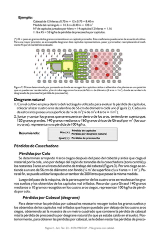 Ejemplo:
Cabezal de 12 hileras a 0.70 m = 12 x 0.70 = 8.40 m
2
Medida del rectángulo = 14.3 m x 8.40 m = 120 m
Nº de capítulos juntados por hilera = 14 capítulos/12 hileras = 1.16
1.16 x 45 = 52 kg/ha de pérdidas de precosecha por capítulos.
(*) 45 = peso en gramos de los granos contenidos en un capítulo promedio. Este coeficiente puede variar de acuerdo al cultivo.
Para una mayor precisión, es aconsejable desgranar diez capítulos representativos, pesar y promediar, reemplazando el coefi-
ciente 45 por el real del lote evaluado.
Figura 2. El área determinada por punteado es donde se recogen los capítulos caídos o adheridos a las plantas en una posición
2
que no pueden ser recolectados, y los círculos negros son los aros de 56 cm. de diámetro (4 aros = 1m ), donde se recolecta lo
desgranado de precosecha (pérdida de precosecha).
Desgrane natural
1. Con el cultivo en pie y dentro del rectángulo utilizado para evaluar la pérdida de capítulos,
colocar al azar cuatro aros de alambre de 56 cm de diámetro cada uno (Figura 2). Cada uno
2 2 2
de estos aros posee una superficie de ¼ de m (¼ de m x 4 aros = 1 m ).
2. Juntar y contar los granos que se encuentran dentro de los aros, teniendo en cuenta que:
2
120 granos grandes, 140 granos medianos o 160 granos chicos de Girasol por m (los cua-
tro aros), representan una pérdida de 100 kg/ha.
Resumiendo:
Pérdidas de Cosechadora
Pérdidas por Cola
Se determinan arrojando 4 aros ciegos después del paso del cabezal y antes que caiga el
material por la cola, uno por debajo del cajón de zarandas de la cosechadora (zona central) y
los restantes 3 aros en el resto del ancho de trabajo del cabezal (Figura 3). Por aro ciego se en-
2 2
tiende a un aro de 56 cm de diámetro con fondo (¼ m de superficie c/u x 4 aros = 1 m ). Pa-
ra tal fin, se puede utilizar la tapa de un tambor de 200 litros que posee la misma medida.
Luego del paso de la máquina, de la parte superior de los cuatro aros se recolectan los gra-
nos sueltos y los obtenidos de los capítulos mal trillados. Recordar: para Girasol 140 granos
medianos o 10 gramos recogidos en los cuatro aros ciegos, representan 100 kg/ha de pérdi-
da por cola .
Pérdidas por Cabezal (desgrane)
Para determinar las pérdidas por cabezal es necesario recoger todos los granos sueltos y
los obtenidos de los capítulos mal trillados que hayan quedado por debajo de los cuatro aros
ciegos, obteniendo así la muestra de un metro cuadrado que contiene la pérdida de cabezal
más la pérdida de precosecha por desgrane natural (lo que ya estaba caído en el suelo). Pos-
teriormente, para obtener las pérdidas por cabezal, se le deben restar las pérdidas de preco-
Pérdida de capítulos
Más (+)
Pérdida por desgrane natural
Igual (=) Pérdidas de precosecha
Pagina 4 - Act. Tec. 23 - INTA PRECOP - Más granos con calidad.
 