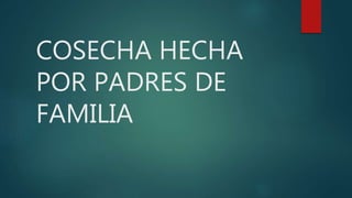 COSECHA HECHA
POR PADRES DE
FAMILIA
 