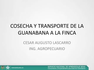 COSECHA Y TRANSPORTE DE LA
GUANABANA A LA FINCA
CESAR AUGUSTO LASCARRO
ING. AGROPECUARIO
 