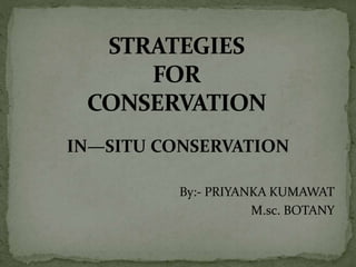 IN—SITU CONSERVATION
By:- PRIYANKA KUMAWAT
M.sc. BOTANY
 