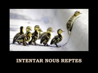 INTENTAR NOUS REPTES