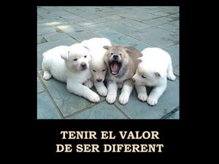 TENIR EL VALOR
DE SER DIFERENT