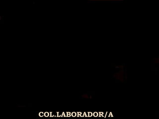COL.LABORADOR/A