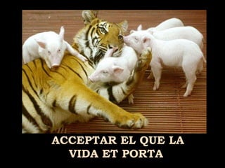 ACCEPTAR EL QUE LA
VIDA ET PORTA
