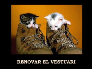 RENOVAR EL VESTUARI